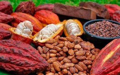 CAFE & CACAO : Voici les prix indicatifs pour la seconde moitié de mai 2024