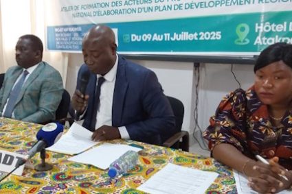 CHANGEMENT CLIMATIQUE : L’approche innovante du Togo pour le développement des territoires