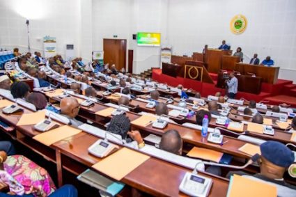 ASSEMBLEE NATIONALE : Qui sont les 14 nouveaux députés installés ?