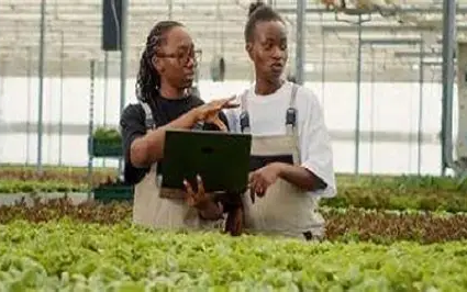 TOGO / ENTREPRENEURIAT FEMININ : Des avancées spectaculaires…