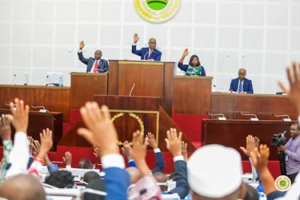 ASSEMBLEE NATIONALE : La loi relative au régime juridique et fiscal du Gazoduc de l’Afrique de l’Ouest amendée
