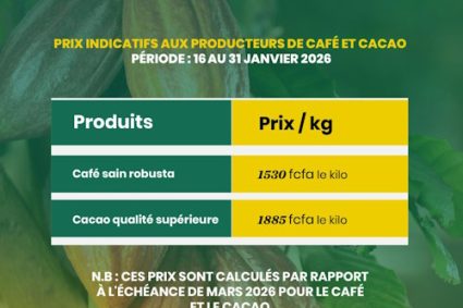 CAFE & CACAO : Voici les prix indicatifs pour la seconde moitié du mois de Janvier 2026