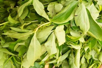 CONSOMMATION : Sur le mois, une hausse de 0,6% du niveau général des prix en Janvier 2026