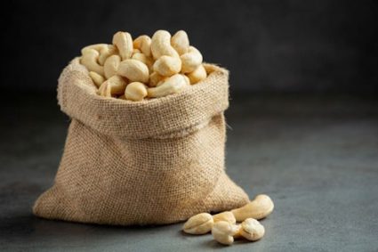 FILIERE NOIX DE CAJOU: De nouvelles mesures pour encourager la transformation locale