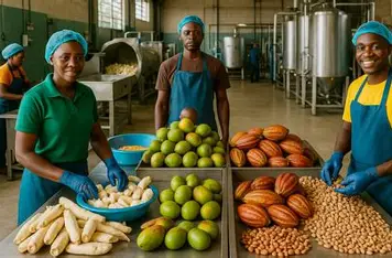 TRANSFORMATION AGRICOLE : 10.000 producteurs déjà engagés dans la dynamique