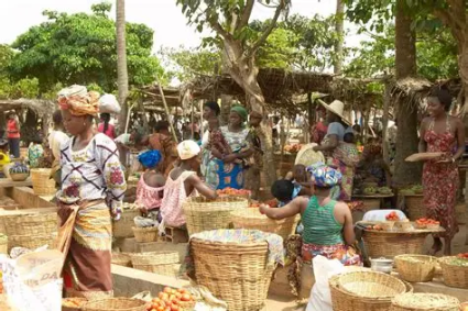 PARTICIPATION A LA VIE ACTIVE : La singularité togolaise