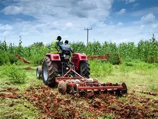 TOGO / AGRICULTURE : Un bond de 47 % de l&rsquo;investissement