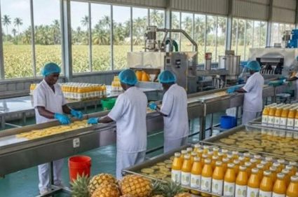 TOGO/ ACCOMPAGNEMENT DES TPME : La date limite pour le PAJEC prorogée au 19 juillet prochain