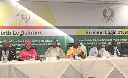 ÉNERGIES RENOUVELABLES : Début d’une réunion délocalisée à Dakar du Parlement de la CEDEAO