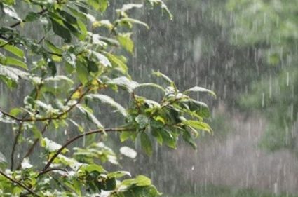 ORAGES, PLUIES ET BROUILLARD ATTENDUS CE 30 JUIN: Le ciel se montrera particulièrement capricieux