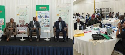 VOLONTARIAT EN AFRIQUE DE L&rsquo;OUEST : Les acteurs des pays membres de la CEDEAO harmonisent la gestion des données à Lomé