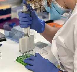 RECHERCHE ET INNOVATION: Le Togo ouvre la voie pour l&rsquo;enracinement du génie génétique et de la biotechnologie