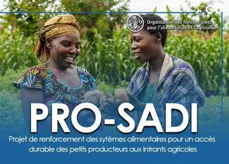 REGIONS DE LA KARA ET DES SAVANES : PRO-SADI, une aubaine pour les petits producteurs