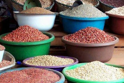SECURITE ALIMENTAIRE : Un taux de couverture au-delà des besoins nationaux