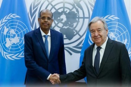 CRISE DANS LES GRANDS LACS : L’ONU et l’UA confirment le Togo comme axe majeur de la médiation