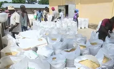SECURITE ALIMENTAIRE : Quand le Togo produit plus que ses besoins