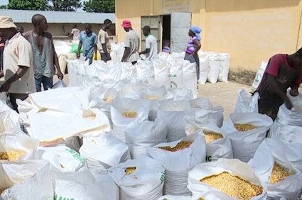 ANSAT :  Démarrage d’une nouvelle campagne d’achat de céréales