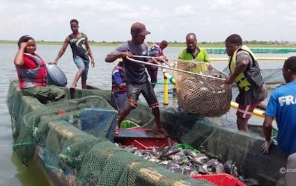 RESSOURCES HALIEUTIQUES : Soutien aux pêcheurs, appui à la formation et à l’installation des jeunes