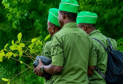 ENVIRONNEMENT : Des brigades mobiles pour renforcer la protection